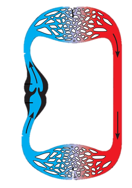 0600gbp0-b594-446x634.png