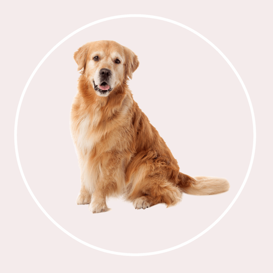 0600gbx6-1c47-940x940.png