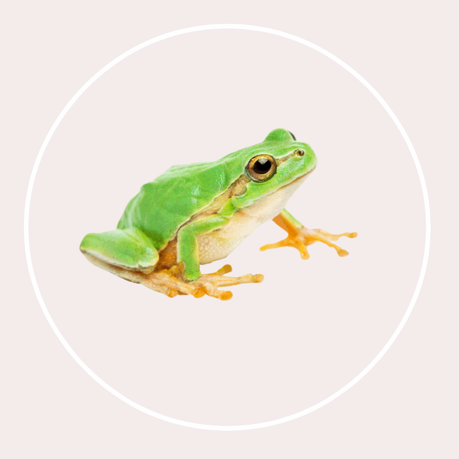 0600gc26-6d62-940x940.png