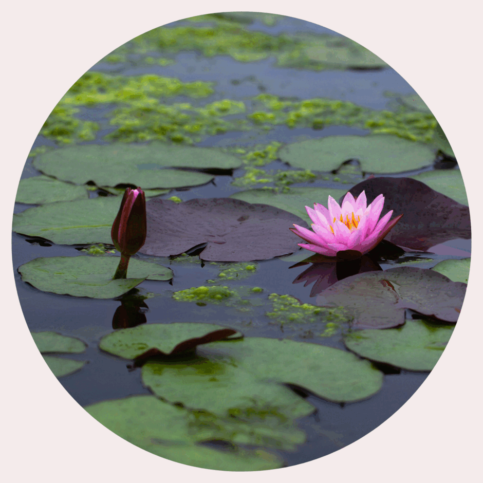 0600gc34-20d2-940x940.png