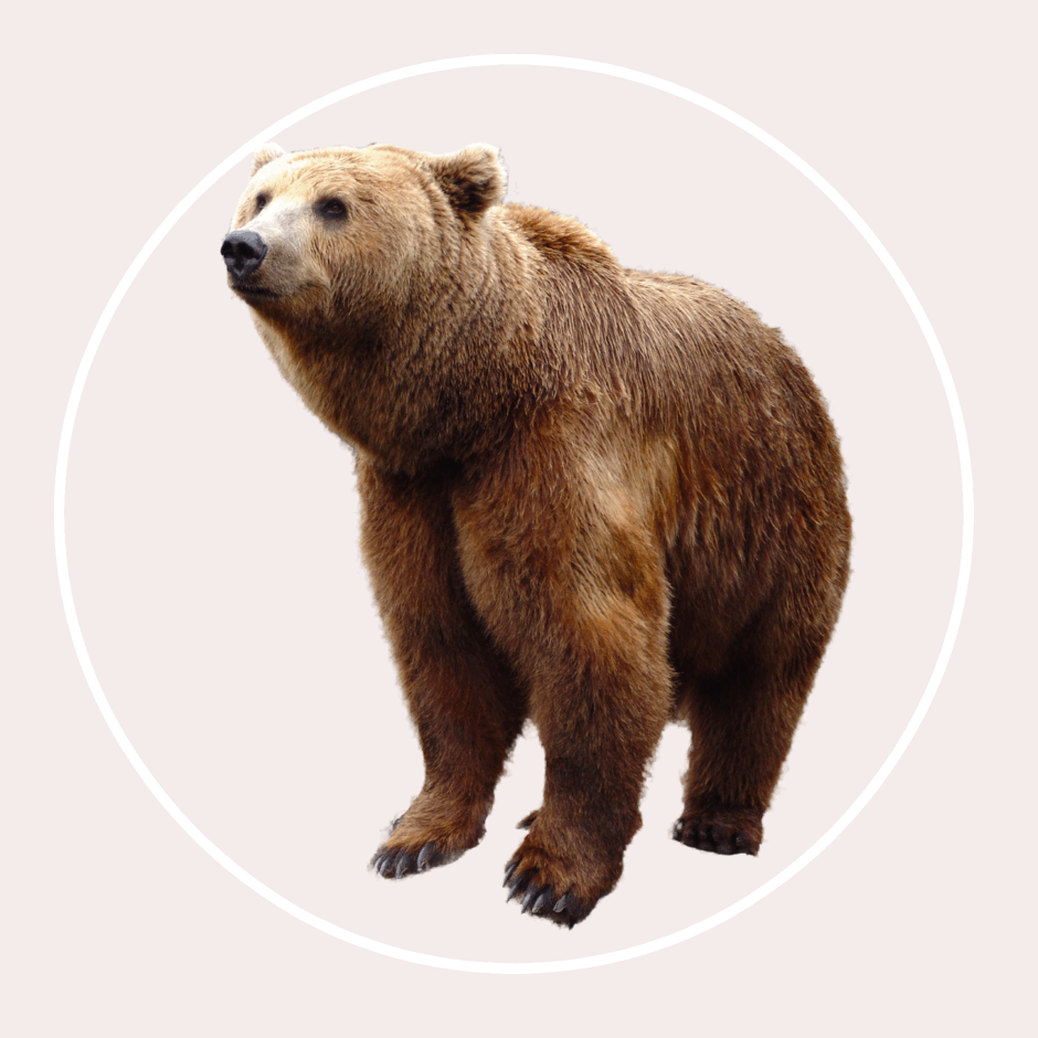 0600gc3j-c1bc-940x940.png