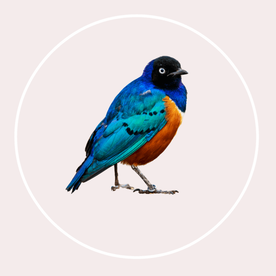 0600gc4d-cf87-940x940.png