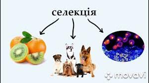 Контрольна робота "Застосування результатів біологічних досліджень у медицині, селекції та біотехнології"