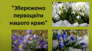 Екологічна година "Збережемо первоцвіти нашого краю"