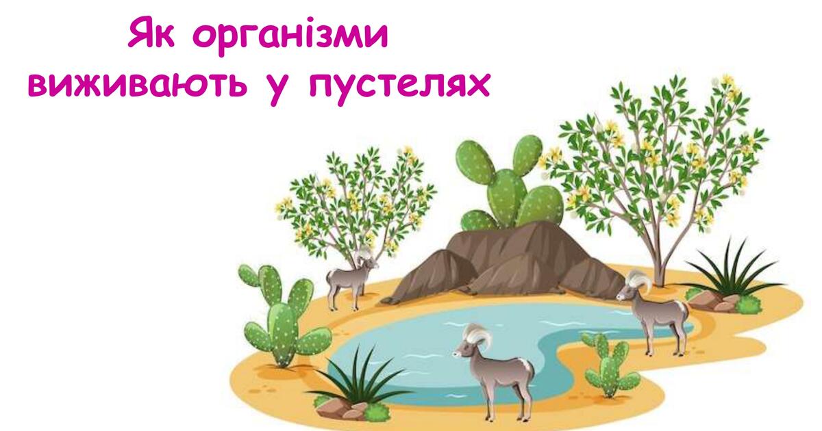 Презентація на тему "Як організми виживають у пустелях" 6 клас НУШ ...