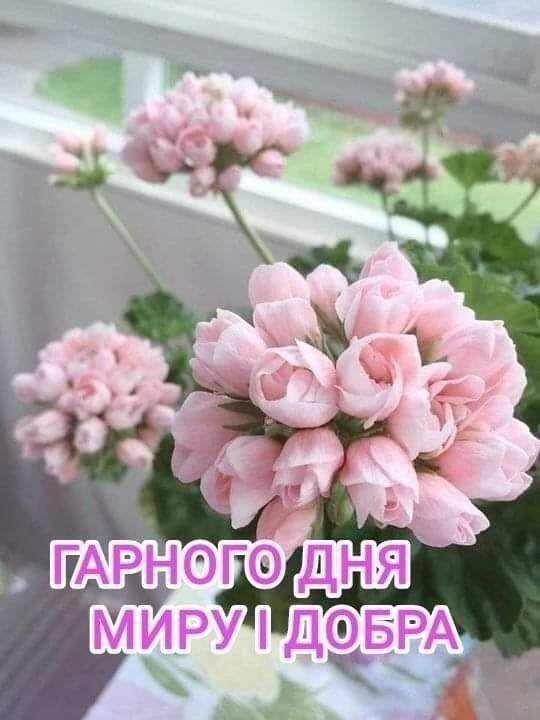 0600gsf0-6f6c-540x720.jpg