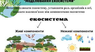 Практичне дослідження: "Моделювання екосистеми" НУШ 6 клас Пізнаємо природу