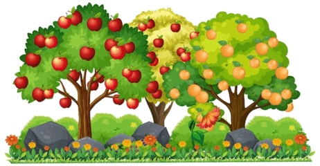 0600gsko-9335-462x240.png