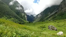 Valley of Flowers Trek - Best Time to Visit, Flower Species, Trek in 2022
