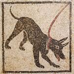 0600guc5-1bea-150x150.jpg