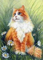 0600guje-e168-150x209.jpg