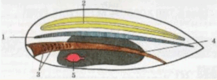 0600gwlv-8394-313x116.png