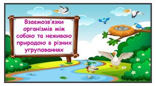 Взаємозв’язки організмів між собою та неживою природою в різних угрупованнях