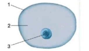 0600gx04-f960-305x176.png