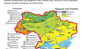Таблиця-шаблон до теми:"Природні зони України" 8 клас