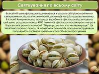 0600h1b6-c363-199x149.jpg