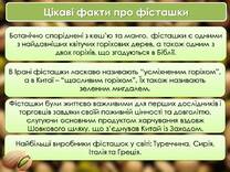 0600h1b7-580a-208x156.jpg