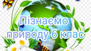 Пізнаємо природу 6 клас Підсумкова робота "Пізнаємо світ науки. Пізнаємо фізичні явища"
