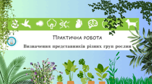Практична робота №8 Визначення представників різних груп рослин