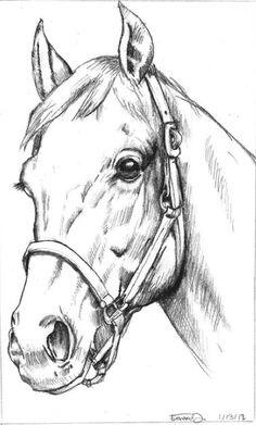 0600h3ik-d141-236x391.jpg