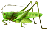 0600h5tq-1364-161x101.png