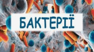 Хто такі бактерії . 5 кл . НУШ. Пізнаємо природу