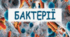 Хто такі бактерії . 5 кл . НУШ. Пізнаємо природу