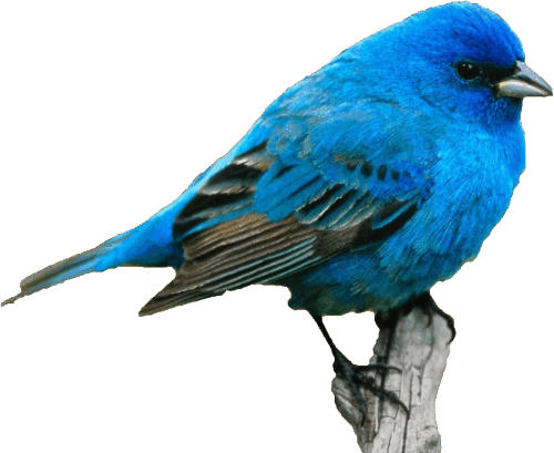 0600hb30-f56f-500x409.png