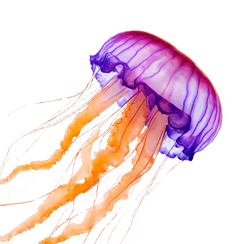 0600hcda-64c3-500x500.png