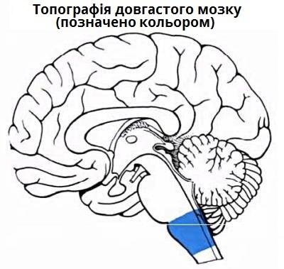 0600hd90-5e1b-400x379.jpg