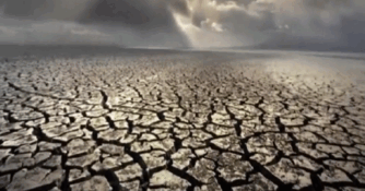 0600hewo-24f0-334x175.png
