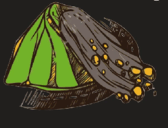 0600hex2-79d2-244x186.png