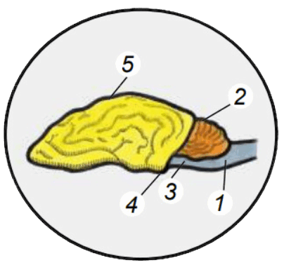 0600hh4d-30b1-404x378.png