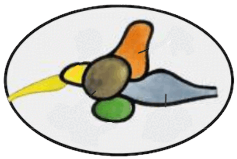 0600hhas-f903-472x316.png