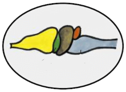 0600hhb2-5fb4-434x318.png
