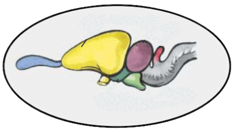 0600hhfi-9550-459x261.png