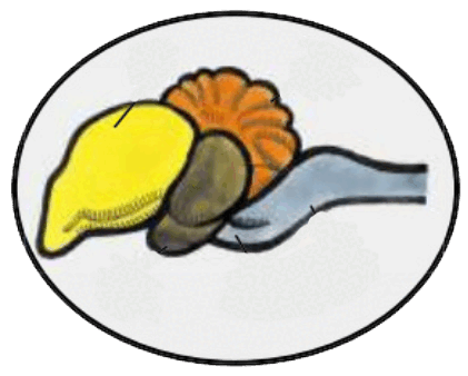 0600hhfk-96a0-421x338.png