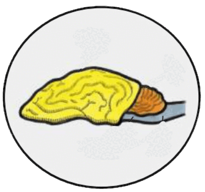 0600hhfm-5b60-404x378.png