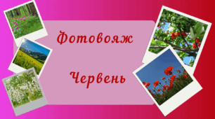 Фотовояж - ЧЕРВЕНЬ. Спостереження за природою