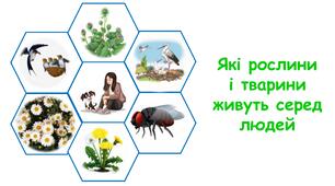 Презентація на тему "Які рослини і тварини живуть серед людей" 6 клас НУШ