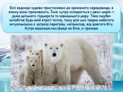 0600hph4-b7e9-249x187.jpg