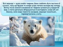 0600hph6-083e-248x186.jpg