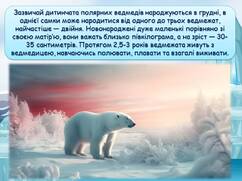 0600hph8-1403-242x181.jpg