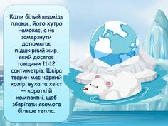 0600hph9-1ccb-236x177.jpg