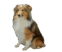 0600i4mr-7e2f-62x52.png