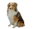 0600i57b-3efd-122x103.png