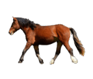 0600i58p-891c-136x115.png