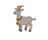 0600i59r-4160-162x137.png