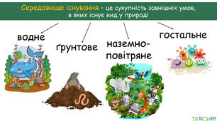 Середовища існування (6 клас)