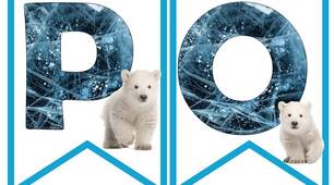 Розтяжка (англійською мовою) до Дня полярного ведмедя "Polar bear day"